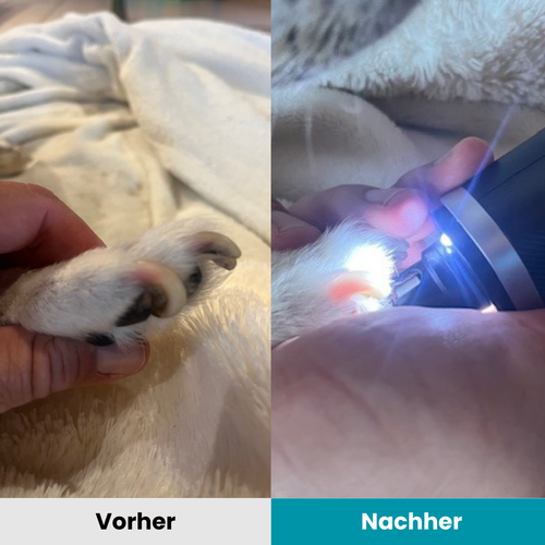 Pawmate | Krallenschleifer