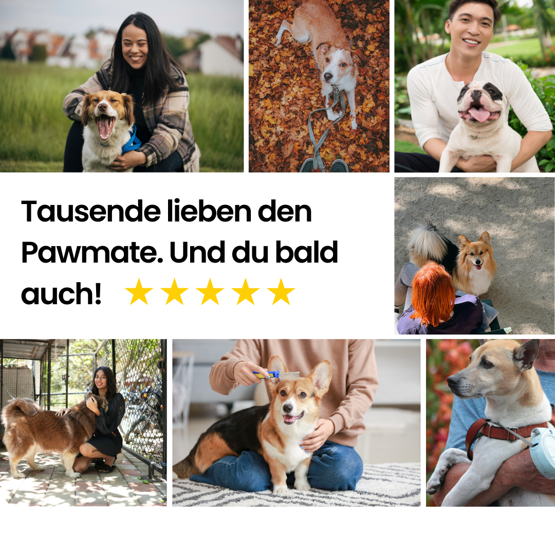 Pawmate | Krallenschleifer