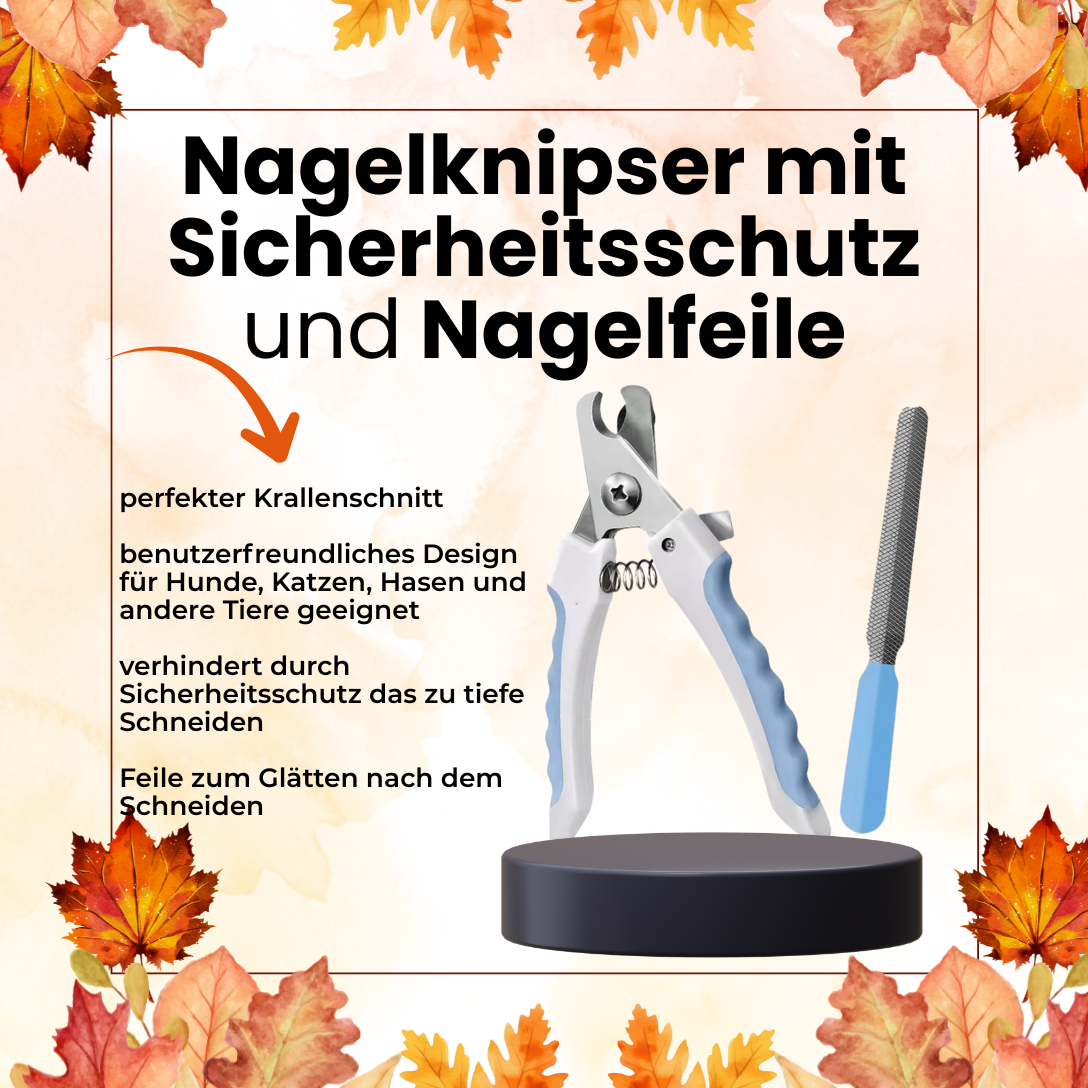 Rundum-Sorglos-Pfotenpflege-Bundle